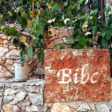 Bibc Wine & Holiday Трієст Екстер'єр фото